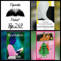 Folge 249: Humoresk Harassed („Echtzeitalter“ - Tonio Schachinger, „Rezitativ“ - Toni Morrison, „Dein Taxi ist da“ - Priya Guns)