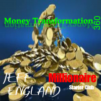 004 Money What You Wished You Knew