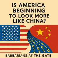 Is America Beginning to Look More Like China?