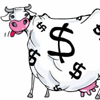 Alimentos E Antibióticos