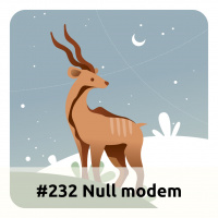 E232 Null Modem