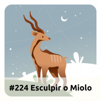 E224 Esculpir O Miolo