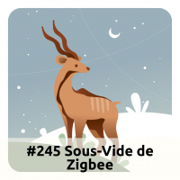 E245 Sous-Vide De Zigbee