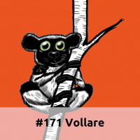 E171 Vollare