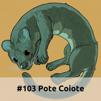 E103 Pote Coiote