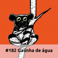E182 Galinha De Água