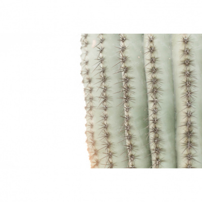 Conquérir Avec Leslie | Foi Chrétienne | Motivation | Leadership |confiance En Soi | Auto-assitance | Développement Person