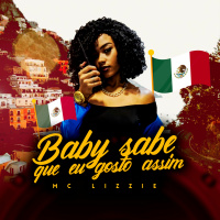 MC Lizzie - Baby Sabe Que Gosto Assim(Bonde do Gão Produções)Dj ML\Dj Kaio Vdm\Dj MV\Dj Yuri Chargas