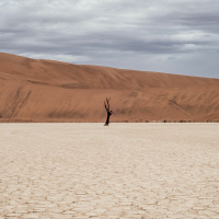 3 abril 2022 - Quinto domingo da Quaresma - Sl 125 (126)