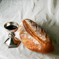 22 maio 2023 - Segunda-feira da sétima semana do Tempo Pascal - Ev Jo 16, 29-33