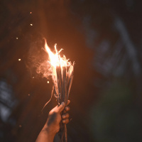 10 maio 2023 - Quarta-feira da quinta semana do Tempo Pascal - Ev Jo 15, 1-8