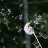 16 novembro 2022 - Quarta-feira da trigésima terceira semana do Tempo Comum - Ev Lc 19, 11-22