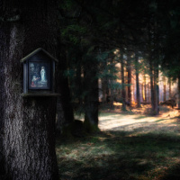 8 dezembro 2022 - Solenidade da Imaculada Conceição de Nossa Senhora - Ev Lc 1, 26-38