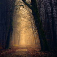 12 dezembro 2022 - Segunda-feira da terceira semana do Advento - Ev Mt 21, 23-27