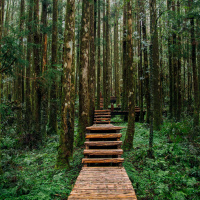 23 março 2022 - Quarta-feira da terceira semana da Quaresma - Mt 5, 17-19