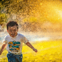 31 maio 2023 - Festa litúrgica da Visitação da Virgem Santa Maria - Ev Lc 1, 39-56