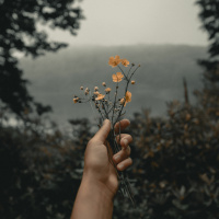 22 março 2023 - Quarta-feira da quarta semana da Quaresma - Ev Jo 5, 17-30