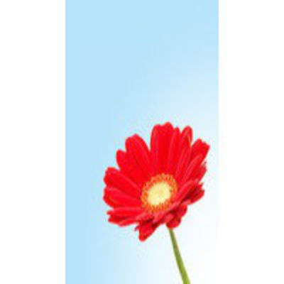 Introducción Al Esoterismo Por Jesús Jurado