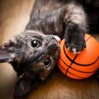 #042 | A minha fonte é melhor do que a tua