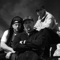 Artist Spotlight - Alpha Faktion