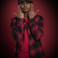 Artist Spotlight - Star Cavalli