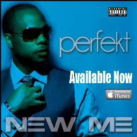Artist Spotlight - Perfekt