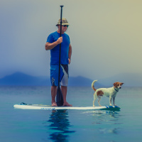 #34 EXCELÊNCIA COMPARATIVA