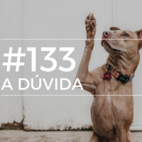 #133 PTC/ A dúvida
