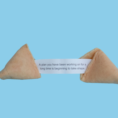 Treinador De Cérebros