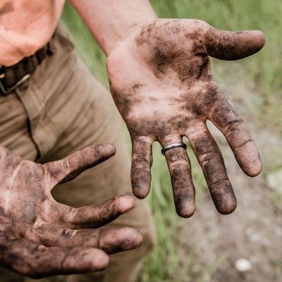 Treinador De Cérebros