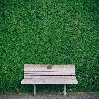 Treinador De Cérebros