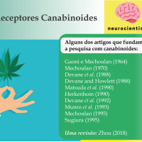 Neurocientista 2. Canabis e Receptores Canabinoides