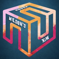 Episode 17: Wilsons House Mix - Episode 17