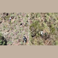 Mulher jogada de penhasco em MG diz que deveria ter pedido ajuda antes: Está acontecendo? Fala