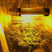 É justo tratar usuário de drogas como criminoso?