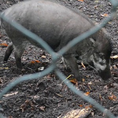 Revista Galileu Na Cbn