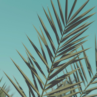 Biblecast.net.br - A Fé Vem Pelo Ouvir