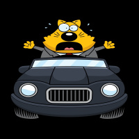 Model S #p00n3d a Porsche