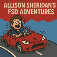 Allison Sheridans FSD Adventures