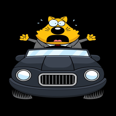 Kilowatt: A Podcast About Tesla