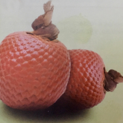 Aromaterapia - Reconexão Pelo Aroma