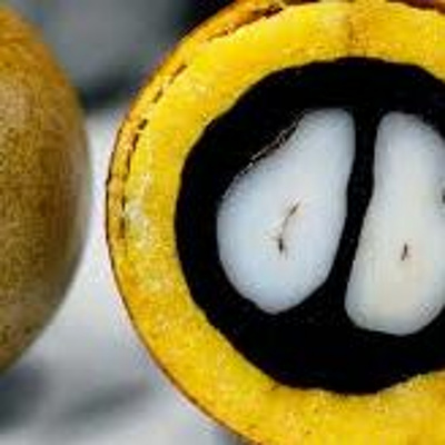 Aromaterapia - Reconexão Pelo Aroma