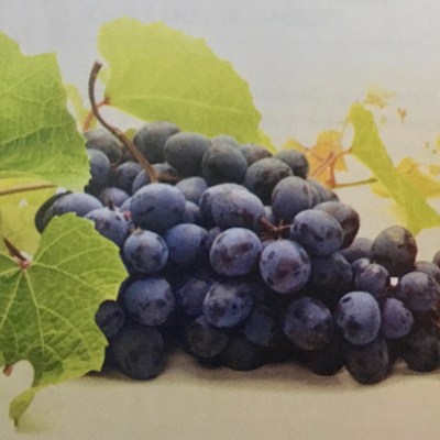 Aromaterapia - Reconexão Pelo Aroma