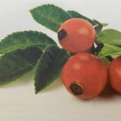 Aromaterapia - Reconexão Pelo Aroma