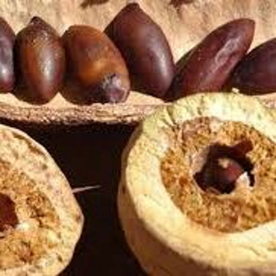 Aromaterapia - Reconexão Pelo Aroma