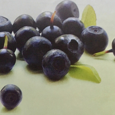 Aromaterapia - Reconexão Pelo Aroma