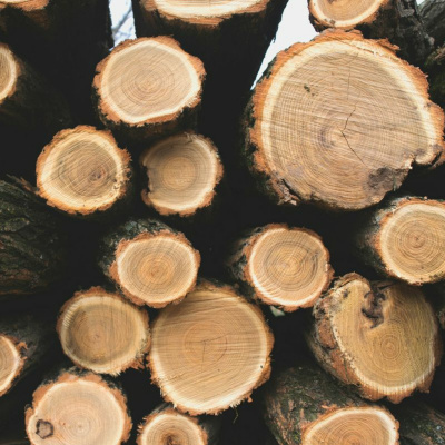 Aromaterapia - Reconexão Pelo Aroma