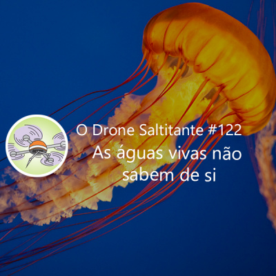 O Drone Saltitante