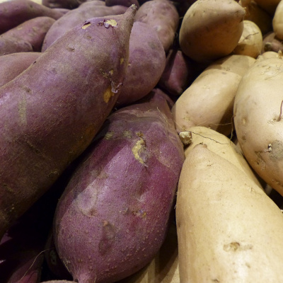 Alimentação Saudável - Janaina Goston