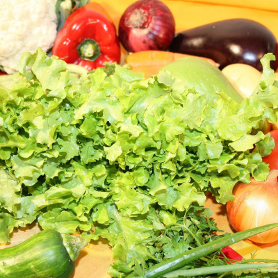 Alimentação Saudável - Janaina Goston